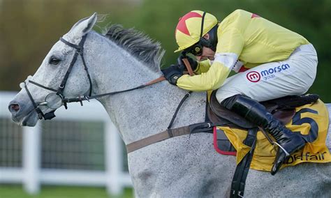 Cheltenham November Meeting: Thriller expected in Greatwood .